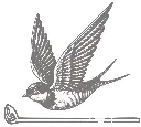 Birdies Front gray.webp
